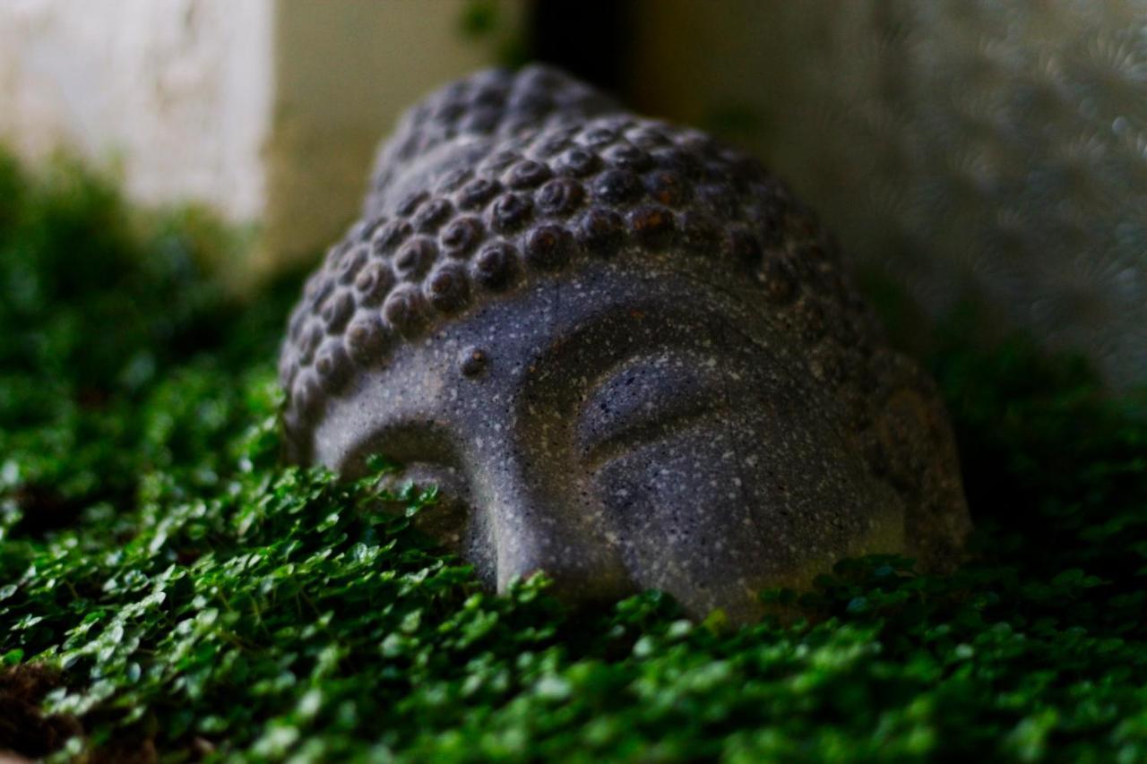 Ganesha Hotel San Cristóbal de Las Casas Zewnętrze zdjęcie